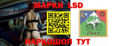 дмт Будённовск