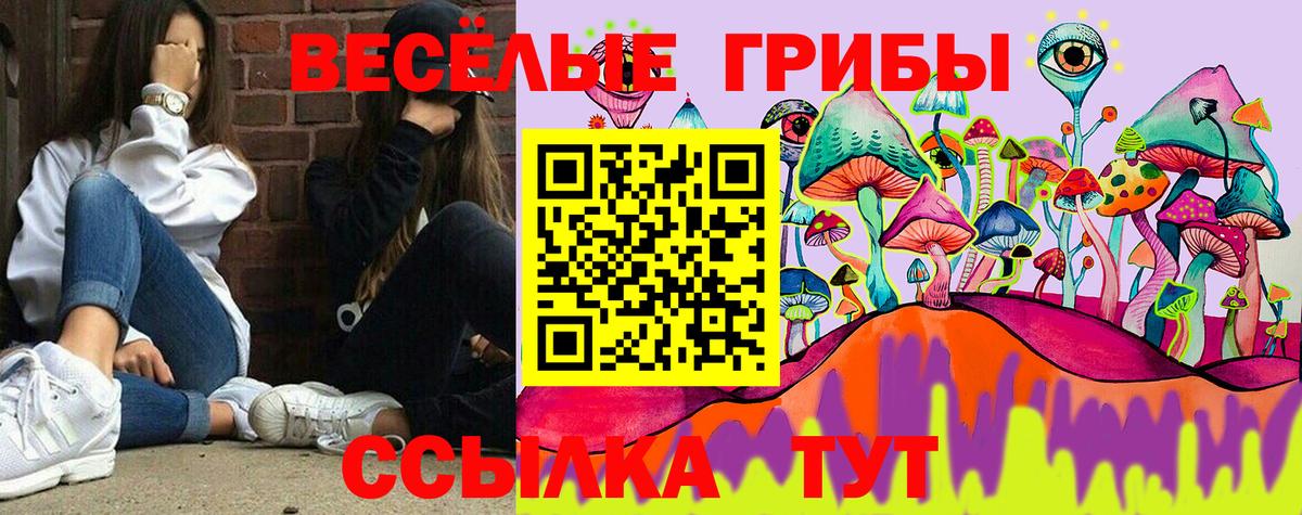 Псилоцибиновые грибы Psilocybine cubensis  Вход с VPN  Сергиев Посад 